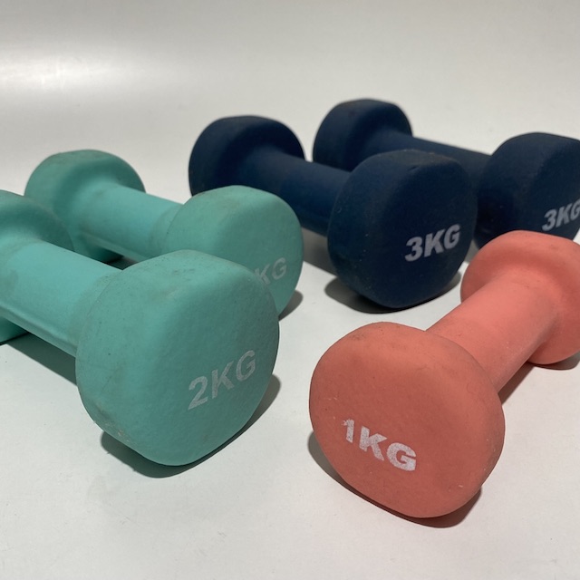 WEIGHT, Dumbell Handweight Pair